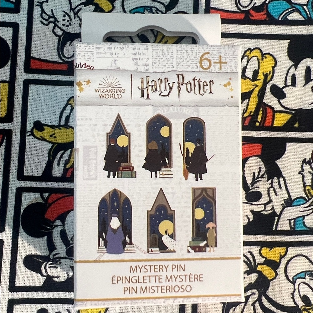 Harry Potter Stain Glass Window Portraits BlindBox Pin New Sealed 2024
